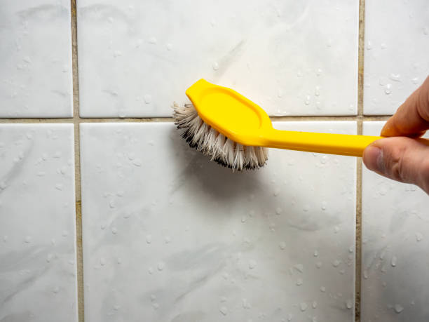 Best Toxic Mold Removal  in Huxley, IA