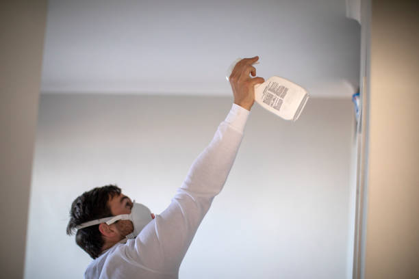 Best Toxic Mold Removal  in Huxley, IA