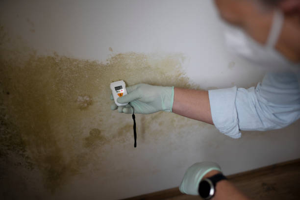 Best Professional Mold Removal  in Huxley, IA