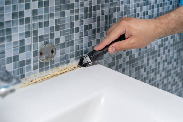 Certified Mold Removal in Huxley, IA
