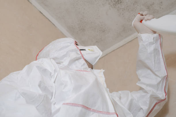 Best Mold Remediation  in Huxley, IA