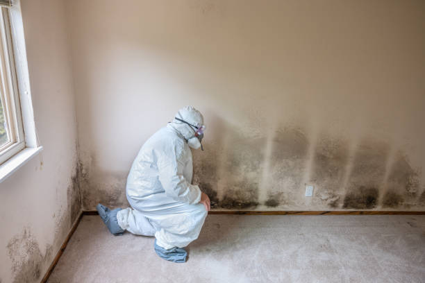 Best Residential Mold Removal  in Huxley, IA