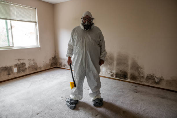 Best Mold Removal Process  in Huxley, IA